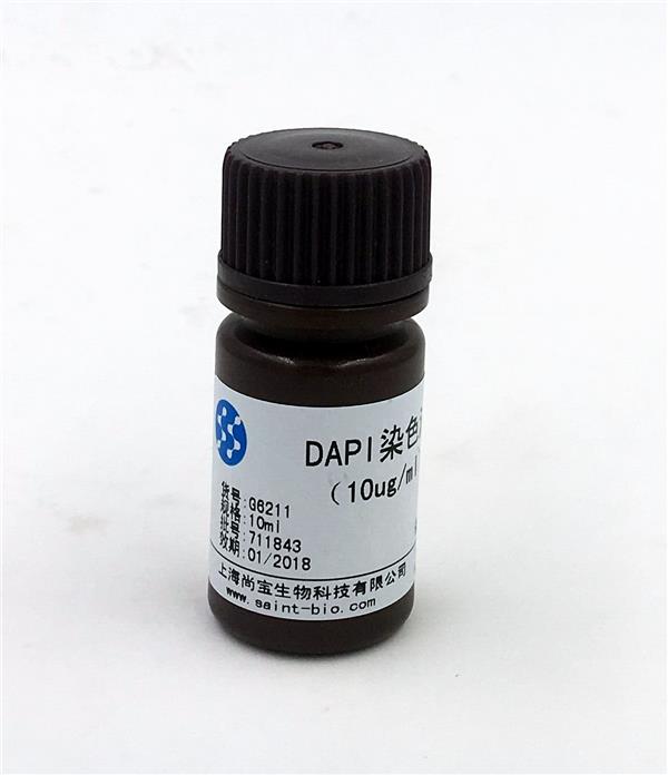 DAPI染色液（10μg/ml）