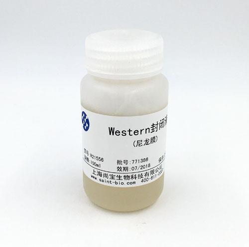 Western封閉液（尼龍膜）
