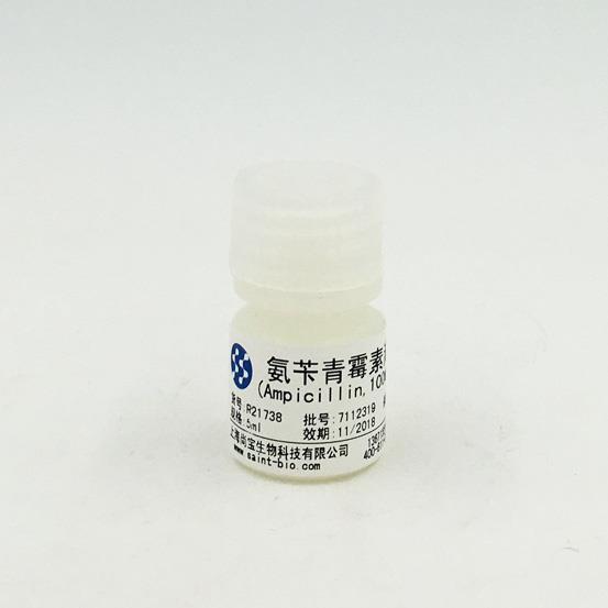 氨芐青霉素溶液（Ampicilin,100mg/ml,無菌）