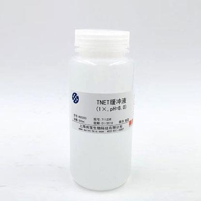 Tris鎂鹽緩沖液（1×，pH=7.8）