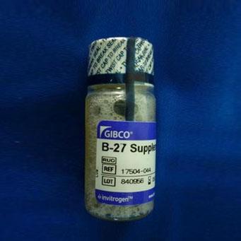GIBCO B-27無血清添加劑