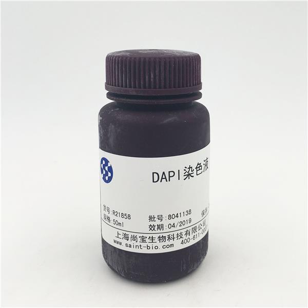 DAPI染色液